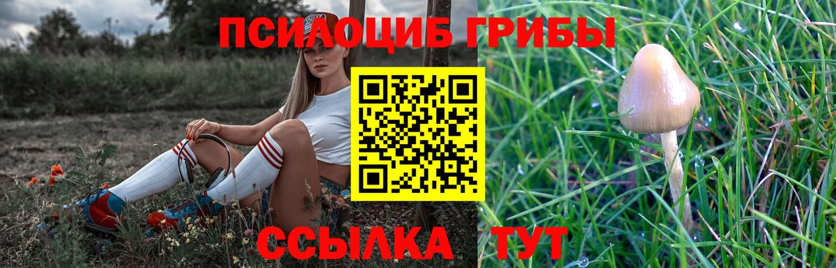 Псилоцибиновые грибы Cubensis  Вход с VPN  Астрахань 